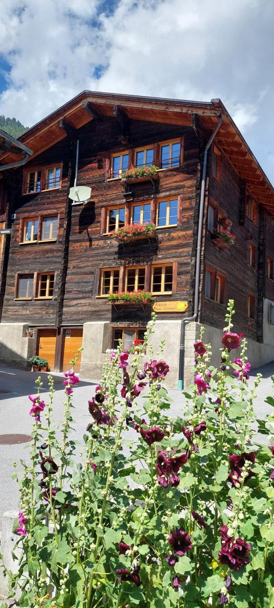 Apartment Alpensonne Reckingen