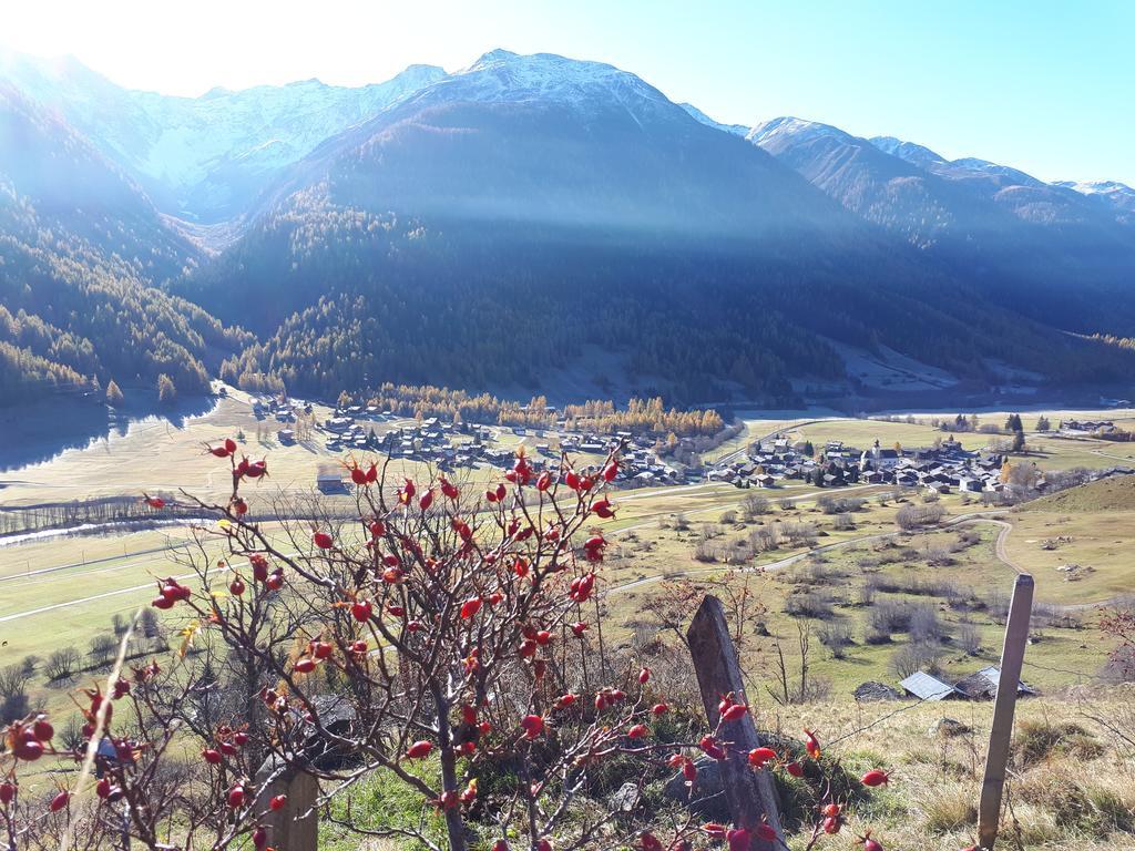 Alpensonne Reckingen