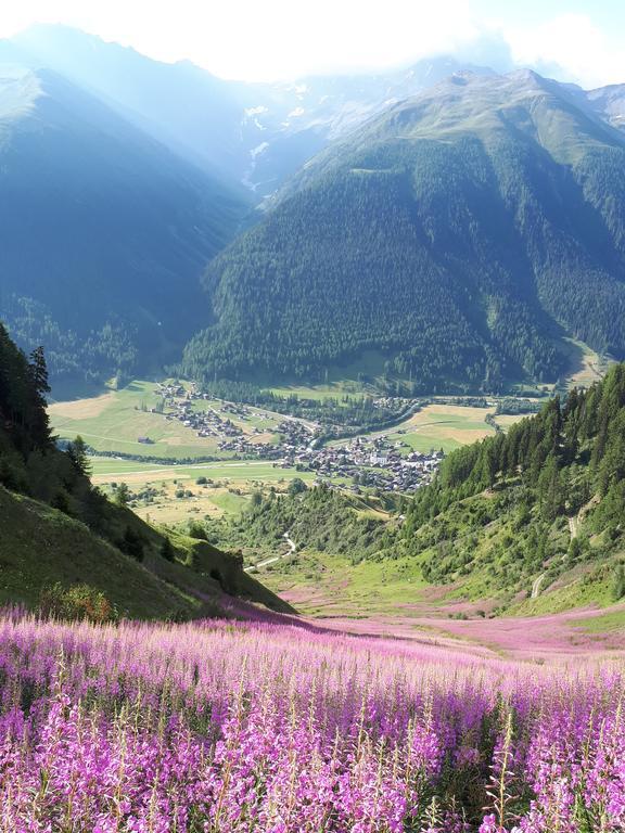 Alpensonne Apartment Reckingen