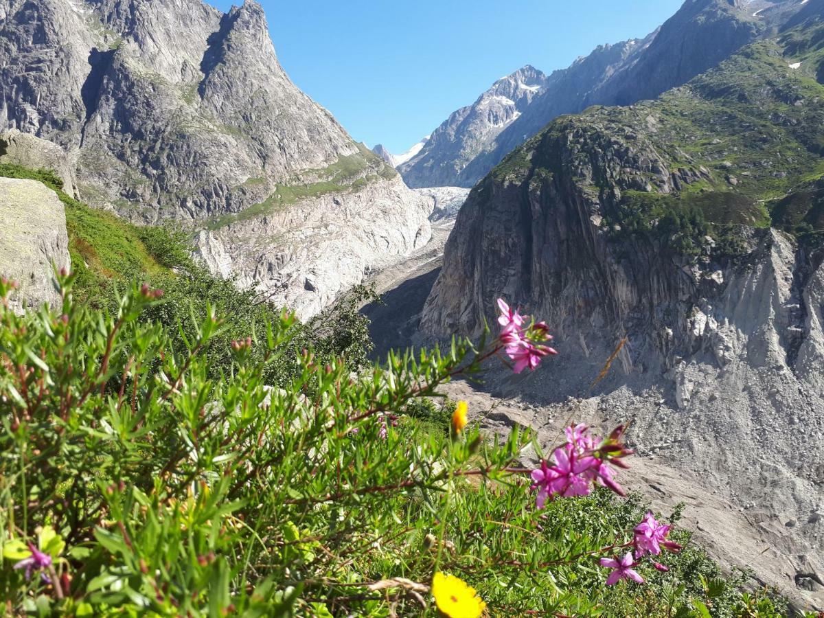 Alpensonne