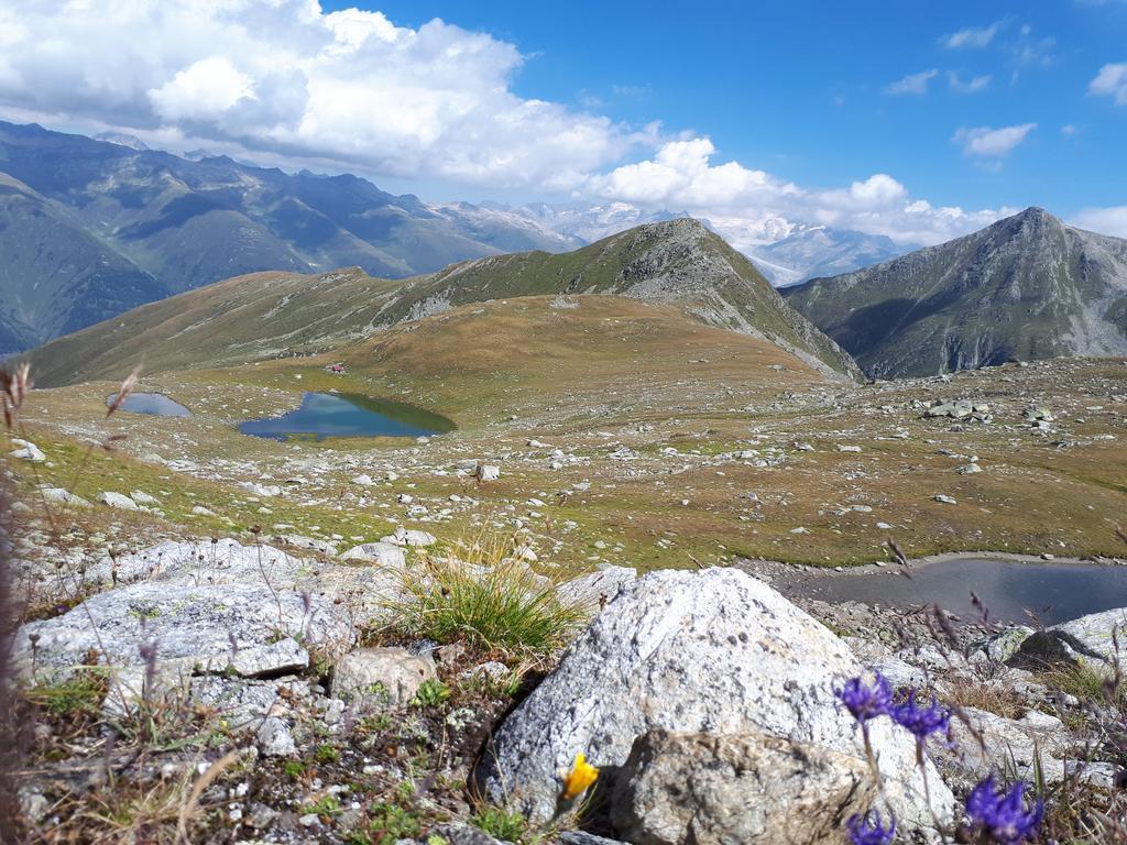 Alpensonne Reckingen