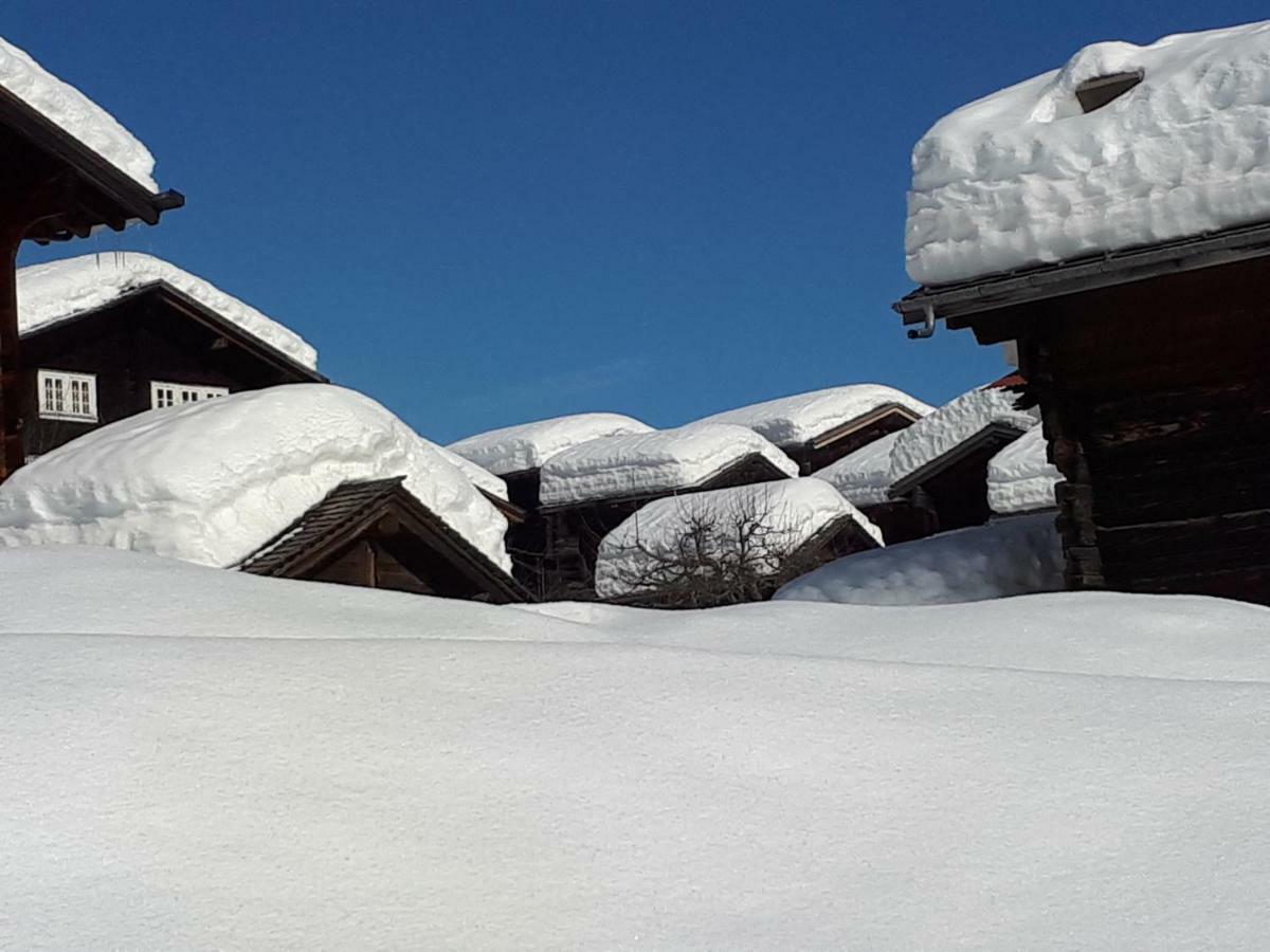 Alpensonne Reckingen